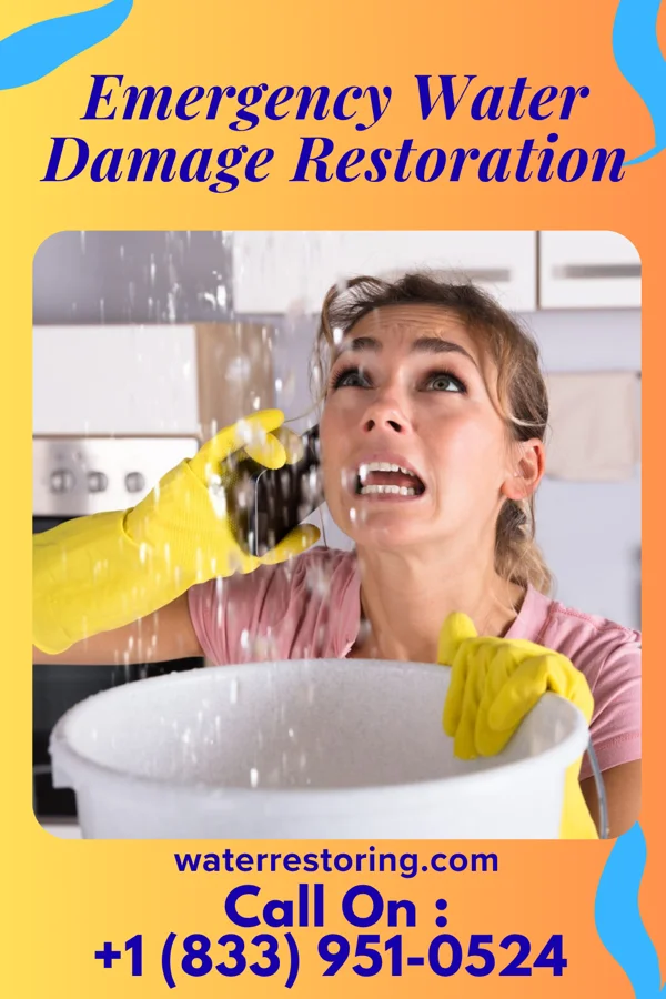 Emergency Water Damage Restoration in Crooked Creek, WV