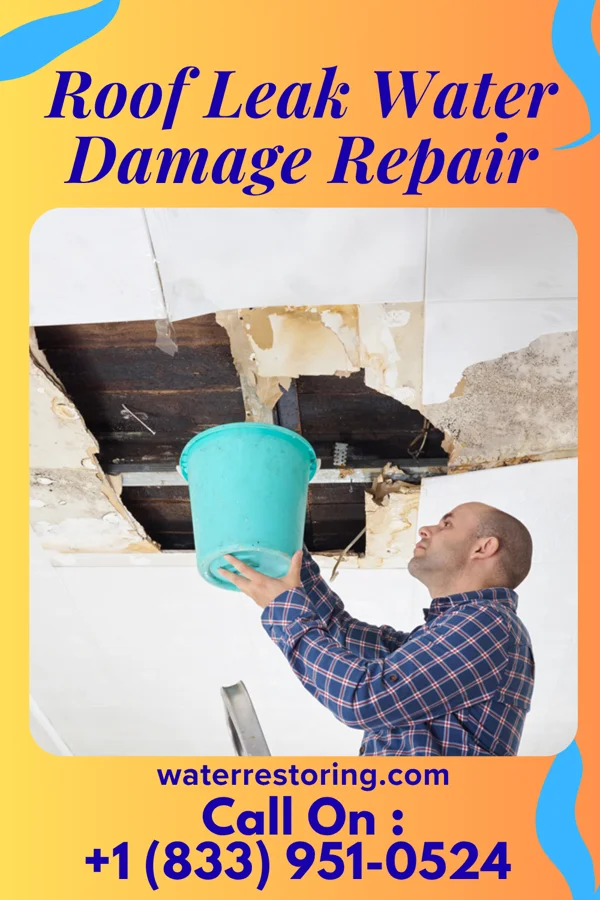 Roof Leak Water Damage Repair in Crooked Creek, WV